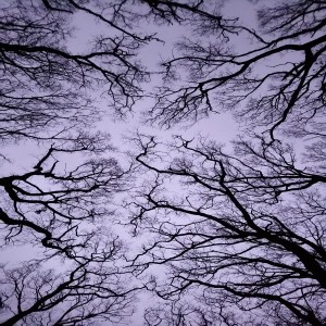 收聽Duch665的Tournée dans un mourroir (Explicit)歌詞歌曲