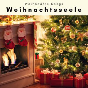 Weihnachts Songs的專輯2 0 2 2 Weihnachtsseele Vol. 1