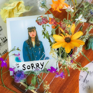 ดาวน์โหลดและฟังเพลง the sorry song พร้อมเนื้อเพลงจาก Mikayla Geier