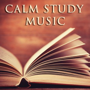 ดาวน์โหลดและฟังเพลง River Flows in You พร้อมเนื้อเพลงจาก Lullabies for Deep Meditation