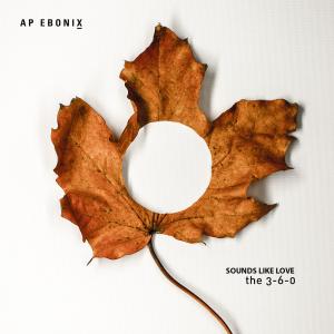 ดาวน์โหลดและฟังเพลง Sounds Like Love (feat. Martin Mcfly & Accapella) (Explicit) พร้อมเนื้อเพลงจาก Ap-Ebonix