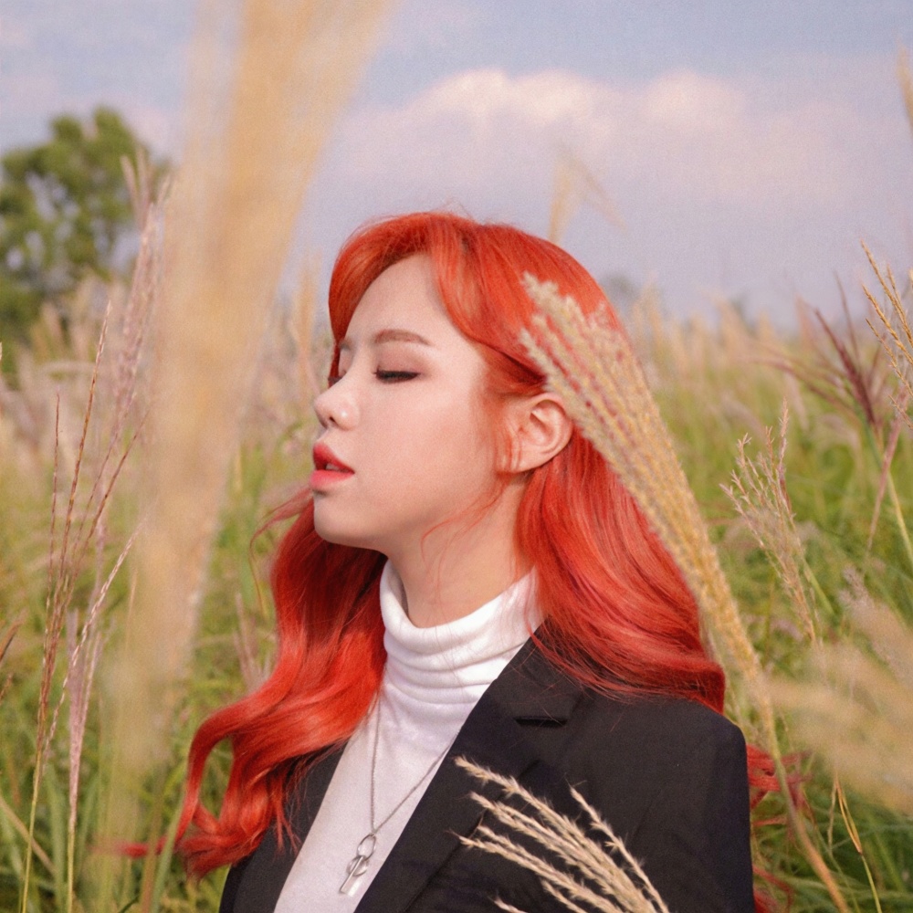Daom