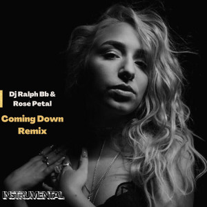收聽DJ Ralph Bb的Coming Down (Instrumental)歌詞歌曲