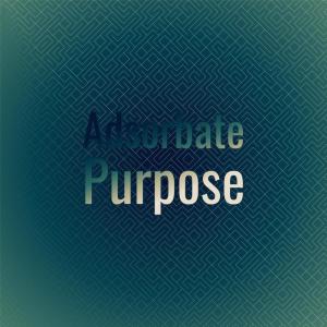 Album Adsorbate Purpose from 