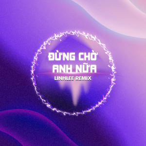 收聽Diijam Studio的Đừng Chờ Anh Nữa (LinhLee Remix)歌詞歌曲