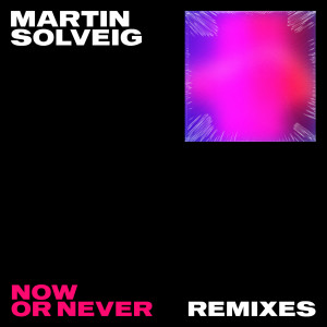อัลบัม Now Or Never (Remixes) ศิลปิน Martin Solveig