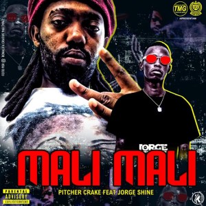 ดาวน์โหลดและฟังเพลง Mali Mali (Explicit) พร้อมเนื้อเพลงจาก Pitcher Crake