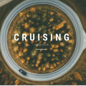 Album Cruising from Silk Tonic