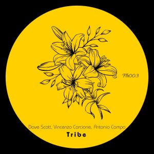 Album Tribe from Dave Scott