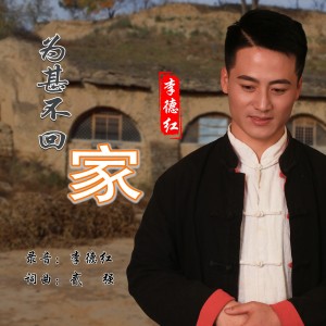 Album 为甚不回家 from 李德红