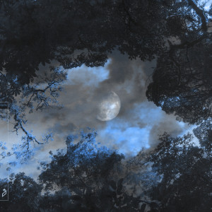 Nils Hoffmann的專輯Holding Me Back (The Kite String Tangle's Stripped Back Version)