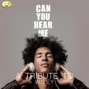 收聽Ameritz - Tribute的Can You Hear Me (Ayayaya)歌詞歌曲