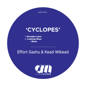 ดาวน์โหลดและฟังเพลง Risen (Egkw Mix) พร้อมเนื้อเพลงจาก Effort Gashu