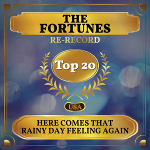 The Fortunes的专辑Here Comes That Rainy Day Feeling Again (Billboard Hot 100 - No 15)