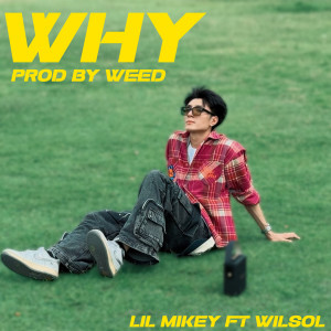 Lil Mikey的专辑WHY
