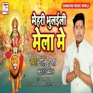 Listen to Mehri Bhulaili Mela Me song with lyrics from Golu Gupta