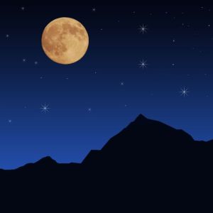 Dengarkan lagu Wondering nyanyian Sleep Sounds of Nature dengan lirik