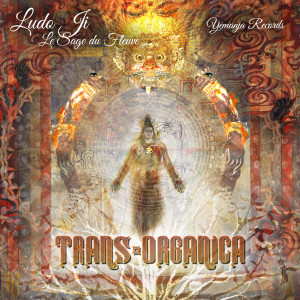Listen to Le Sage Du Fleuve (Trans-Organica) song with lyrics from Ludo Ji