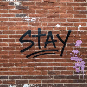 Listen to Stay song with lyrics from James Dawson