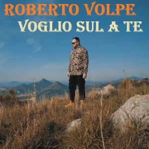 Album Voglio Sul A Te from Roberto Volpe