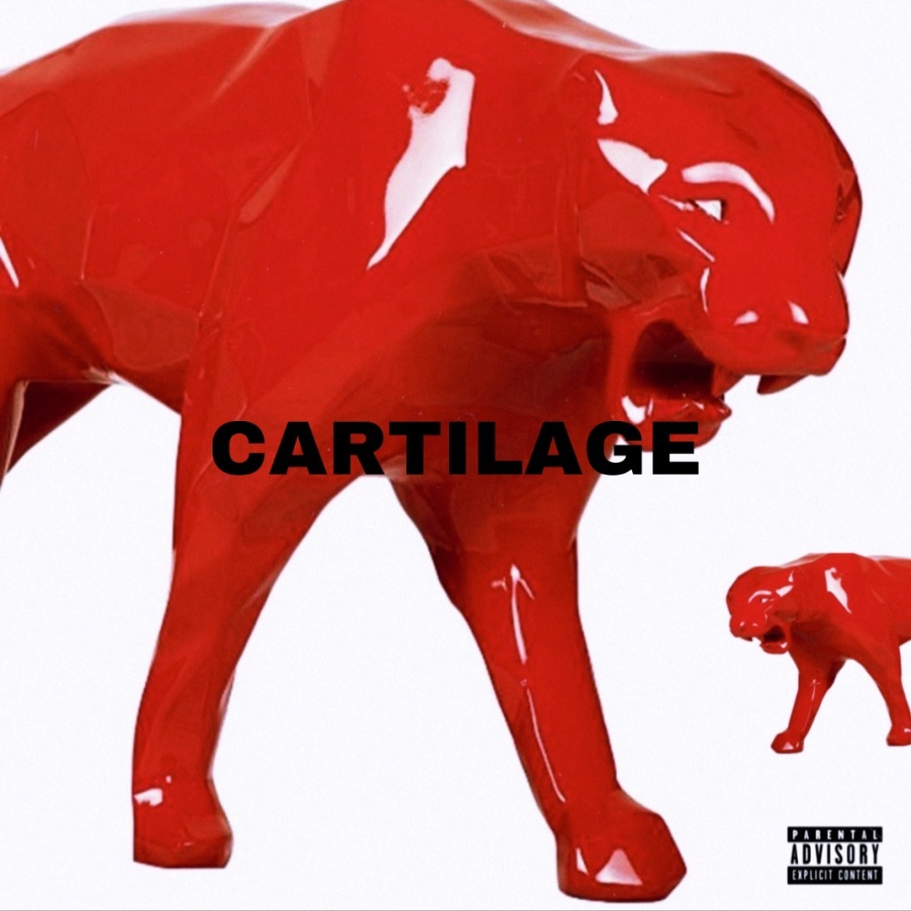 CARTILAGE (Explicit)