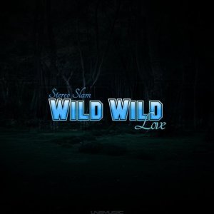 Stereo Slam的專輯Wild Wild Love