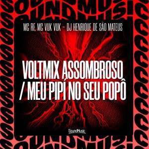 Listen to VOLTMIX ASSOMBROSO / MEU PIPÍ NO SEU POPÔ (Explicit) song with lyrics from MC Vuk Vuk