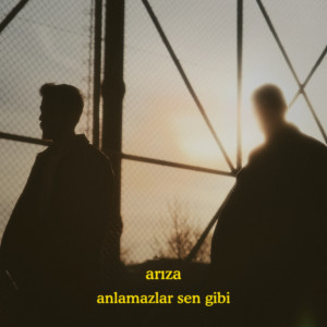 Album Anlamazlar Sen Gibi oleh Ariza