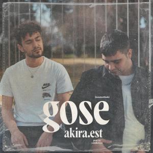 Listen to GOSE(feat. Eu Akira.Est & Andres Akira.Est) song with lyrics from AKIRA.EST