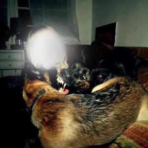 收聽Tavian的Maybe I Don't Know歌詞歌曲