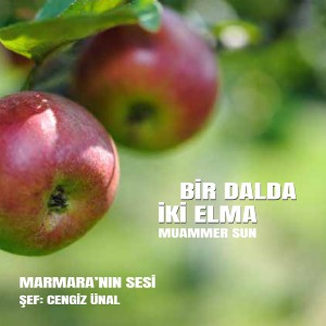 Listen to Bir Dalda İki Elma song with lyrics from Marmara'nın Sesi