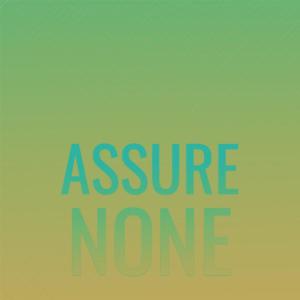 Various Artists的專輯Assure None