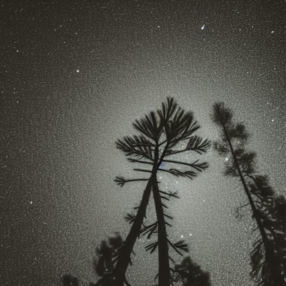 pine tree on pluto