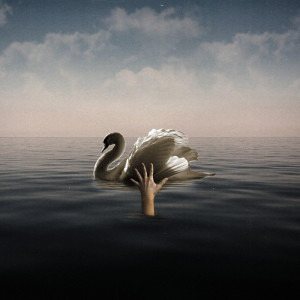Album Scema from Pupetta
