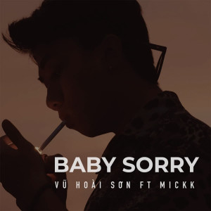 VŨ HOÀI SƠN的專輯BABY SORRY