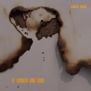 James Ross的專輯It looked like love