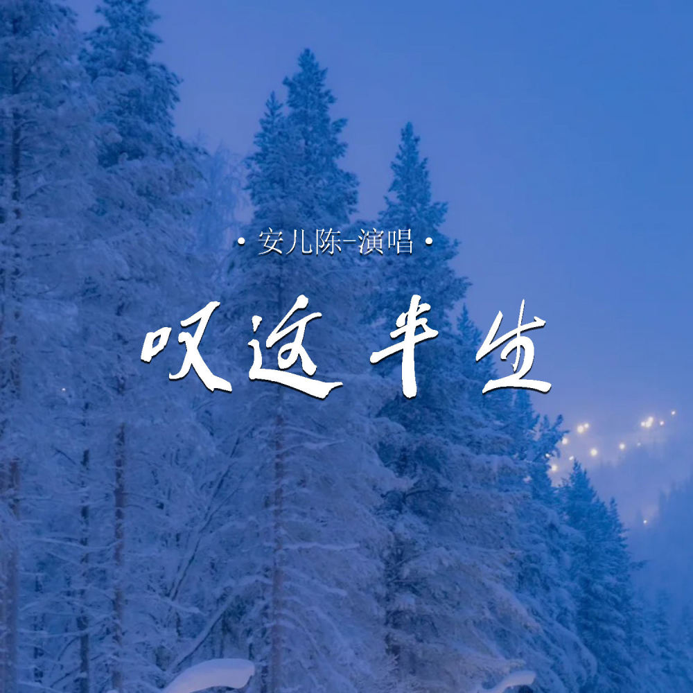 叹这半生 (伴奏)