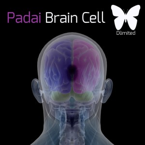 Padai的专辑Brain Cell