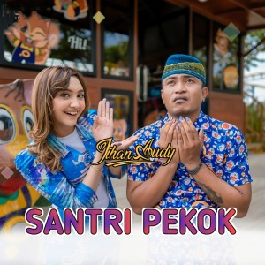 Dengarkan lagu Santri Pekok (Cover) nyanyian Jihan Audy dengan lirik