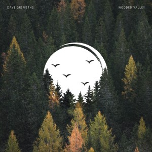 Dave Griffiths的專輯Wooded Valley