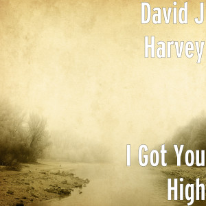 Dengarkan I Got You High lagu dari David J Harvey dengan lirik