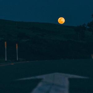 อัลบัม moonlight echoes ศิลปิน Noni