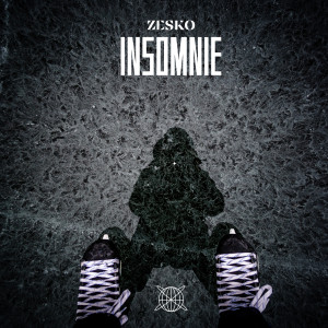 Listen to Insomnie song with lyrics from ZesKo