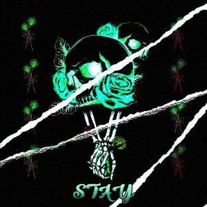 ดาวน์โหลดและฟังเพลง Stay พร้อมเนื้อเพลงจาก Andrew P