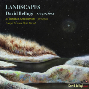 Landscapes dari David Bellugi