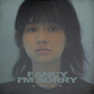 Listen to I'm Sorry song with lyrics from 刘凡