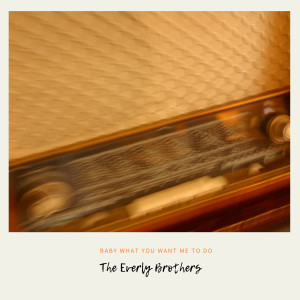 ดาวน์โหลดและฟังเพลง Autumn Leaves พร้อมเนื้อเพลงจาก The Everly Brothers