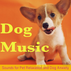 Listen to Healing Breeze song with lyrics from Dog Music Dreams