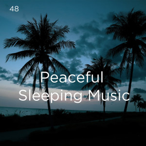 ดาวน์โหลดและฟังเพลง 海洋之声入睡 พร้อมเนื้อเพลงจาก Deep Sleep