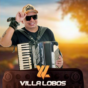 收聽Villa Lobos的Se Beber Não Digite歌詞歌曲
